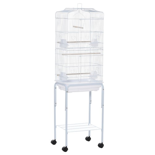 Bird cage budgie - bird, for