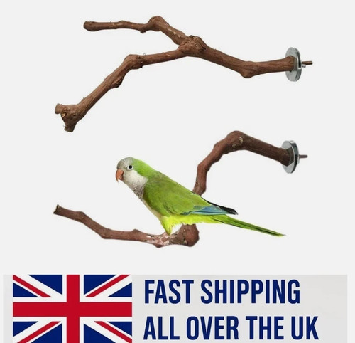 Wooden parrot bird - wooden,