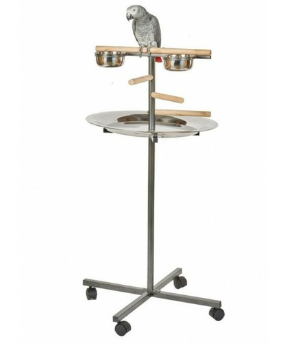 Rainforest parrot bar - t-bar,