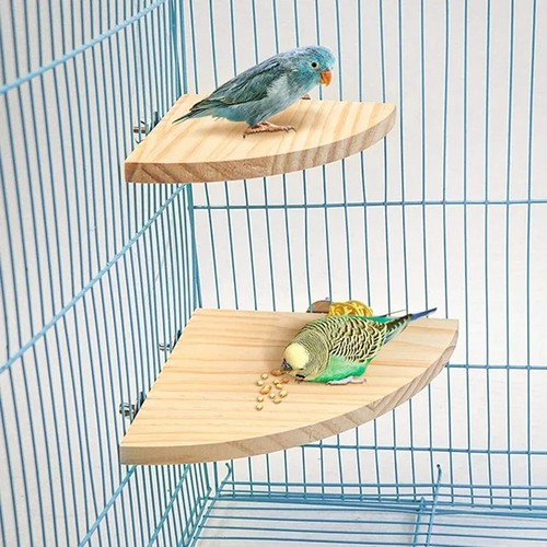 Bird cage corner - bird,